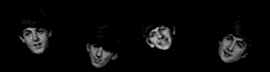 beetles1.gif (13619 bytes)